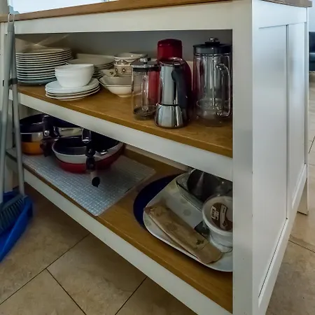 Very Old House * Ptice