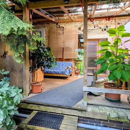 Very Old House * Ptice